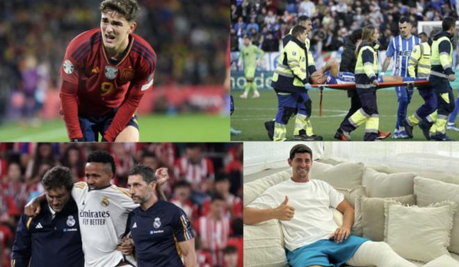 动会的重要 动会的重要